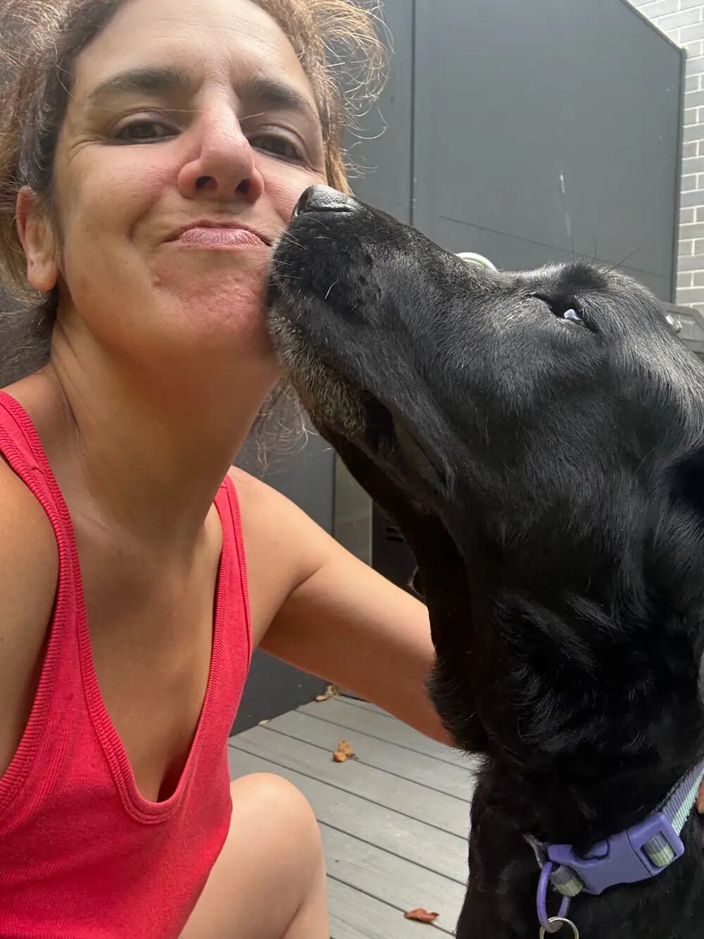 Nicole receiving a kiss from a black Labrador